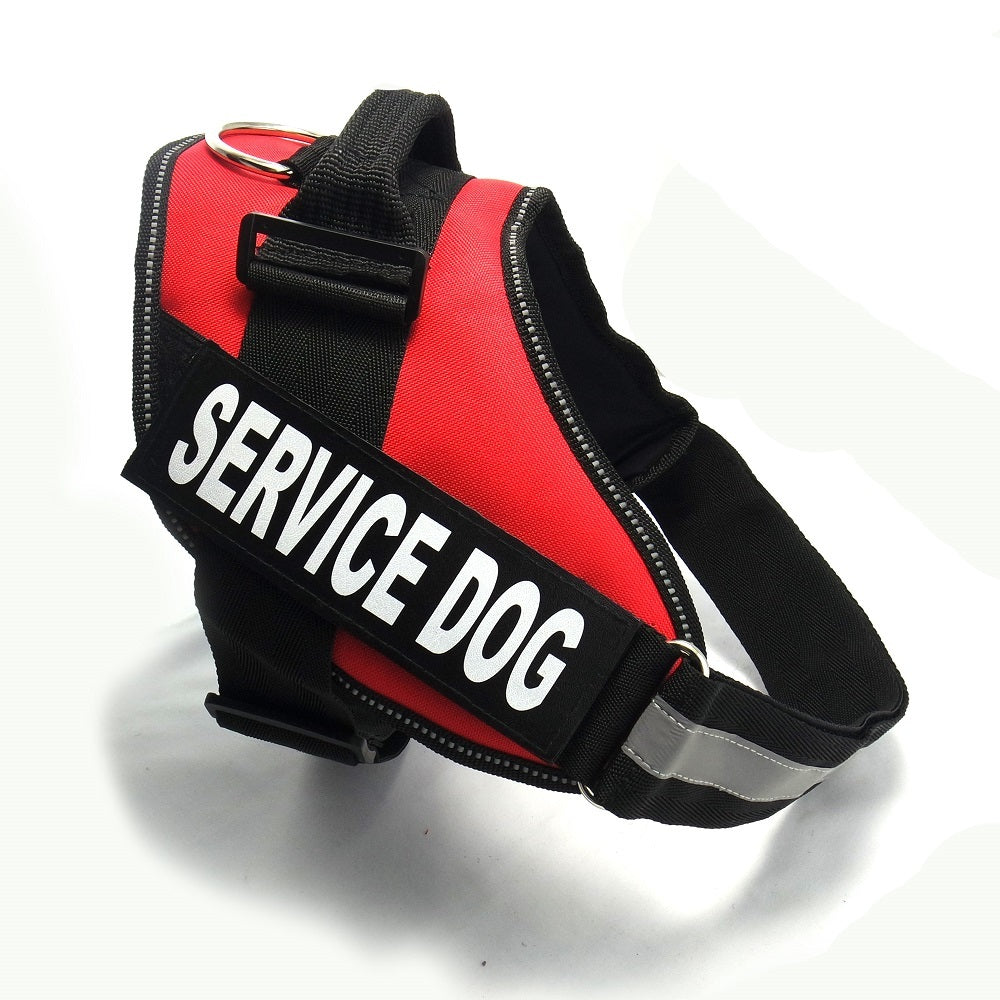 Chest strap
