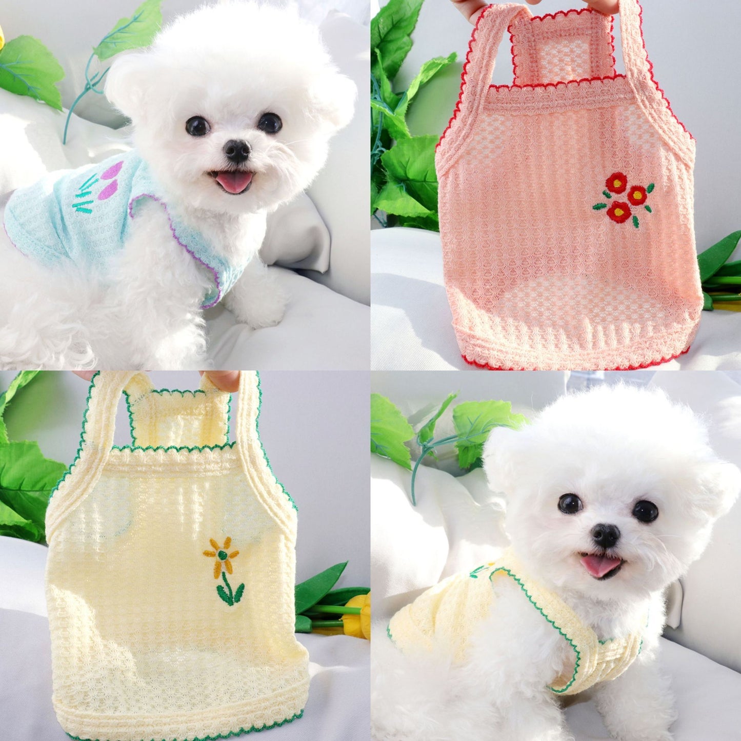 Teddy Style Dog Clothes