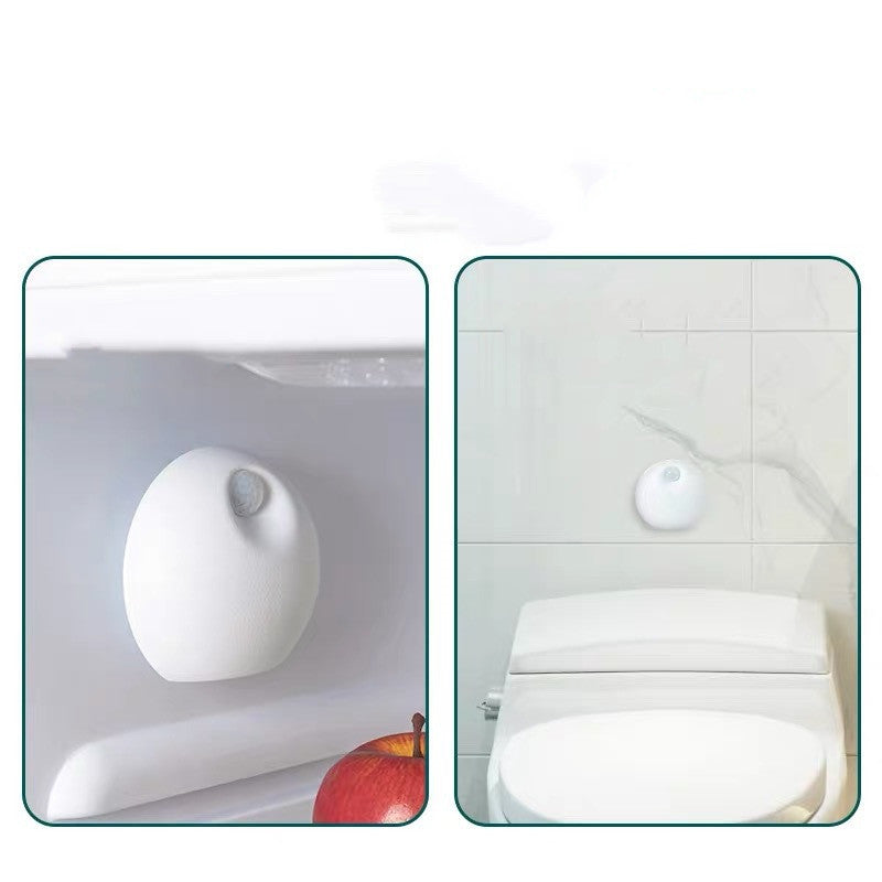 Pet Odor Remover