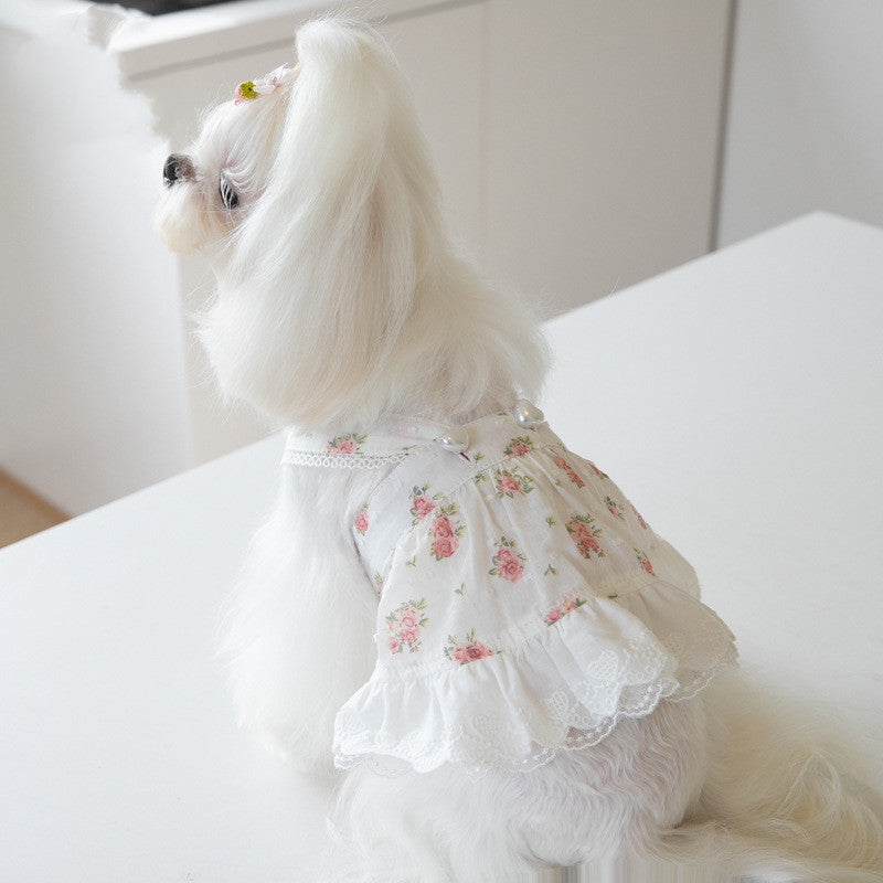 Floral Lace Dog Dress