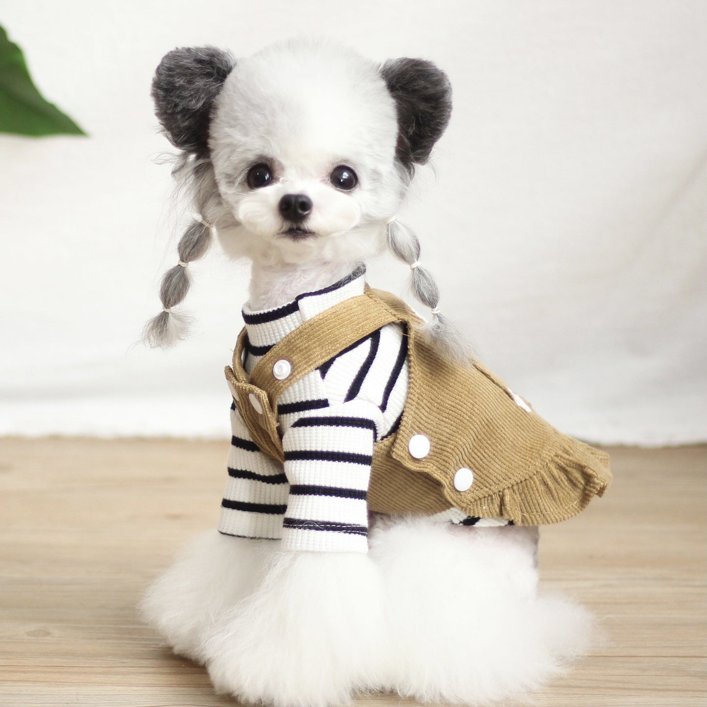 Cute Pet Skirt Outfit