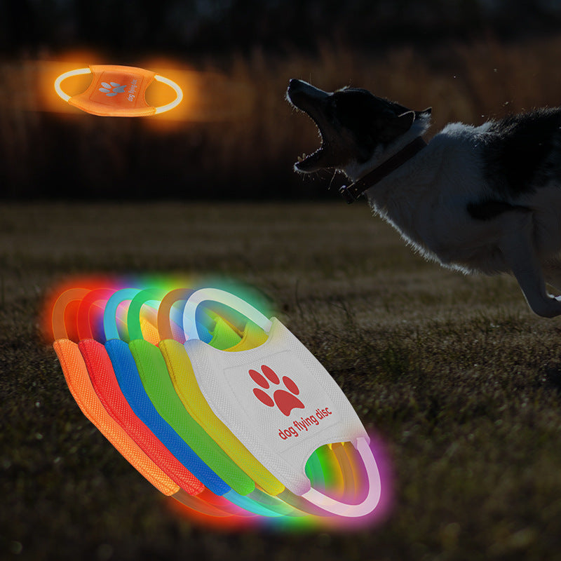 Luminous Training Disc for Pets