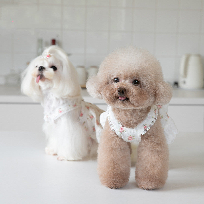 Floral Lace Dog Dress