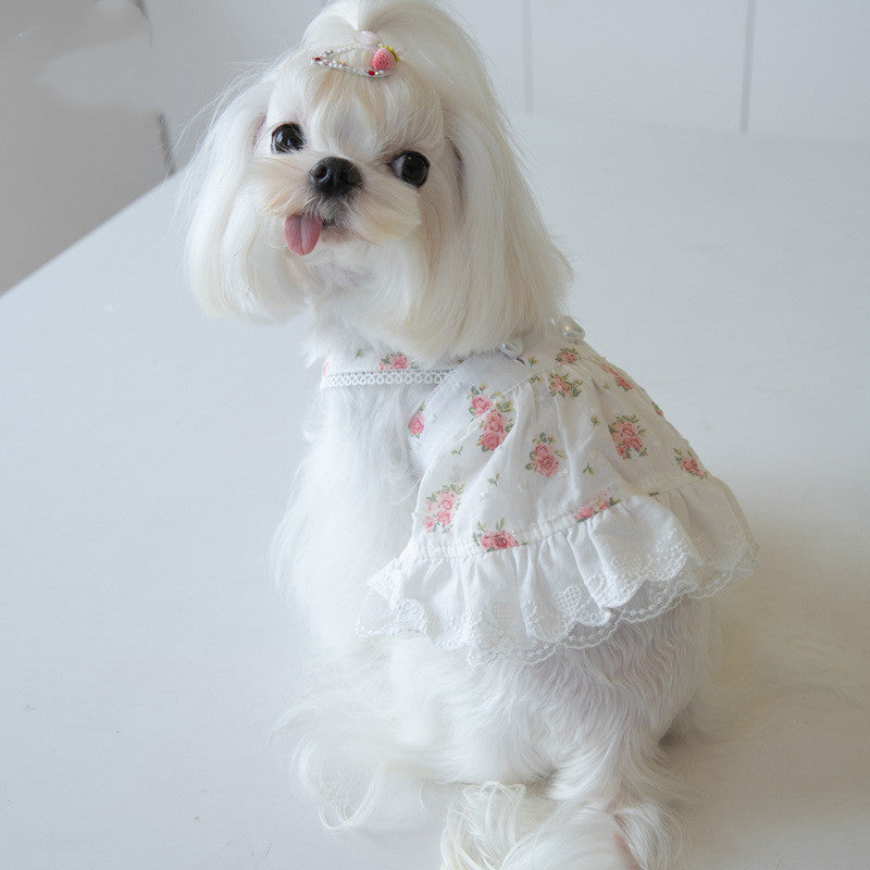 Floral Lace Dog Dress