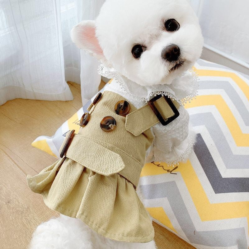 Khaki Pet Trench Coat