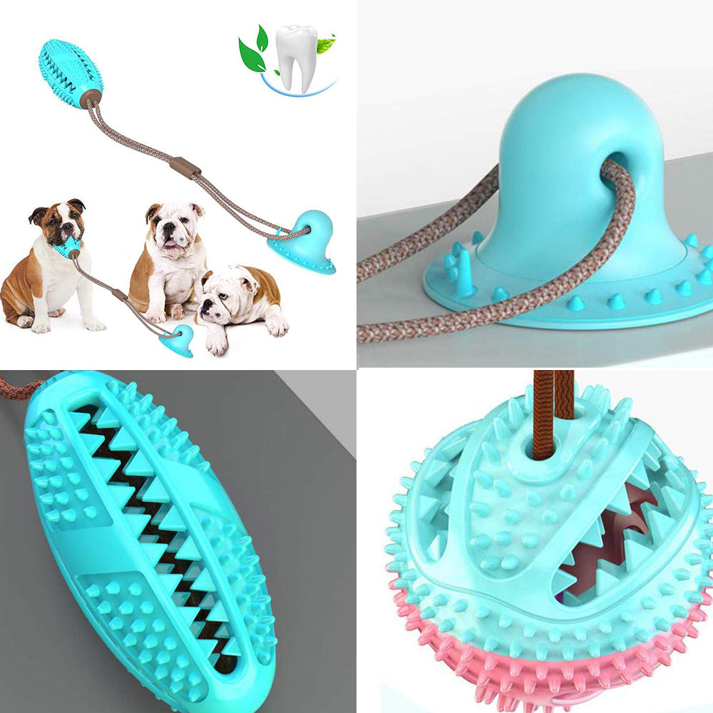 Suction Cup Tug Toy with Chew Ball