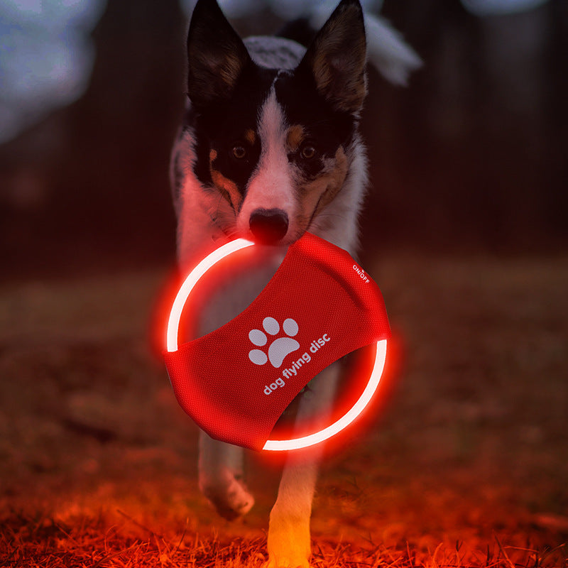 Luminous Training Disc for Pets