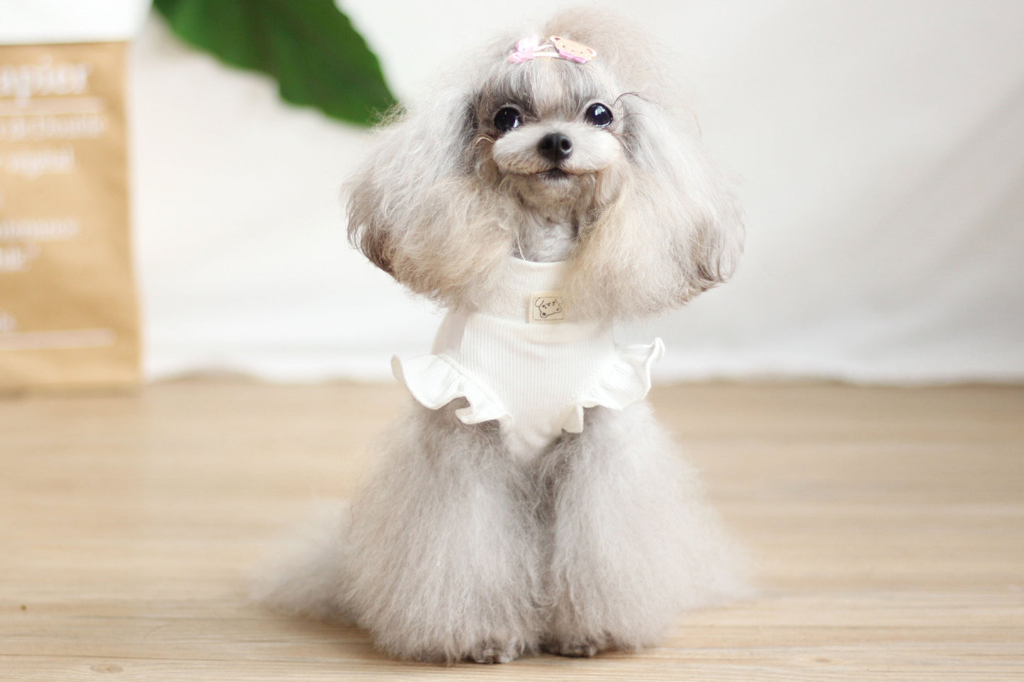 Cute Pet Skirt Outfit