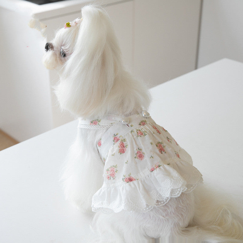 Floral Lace Dog Dress