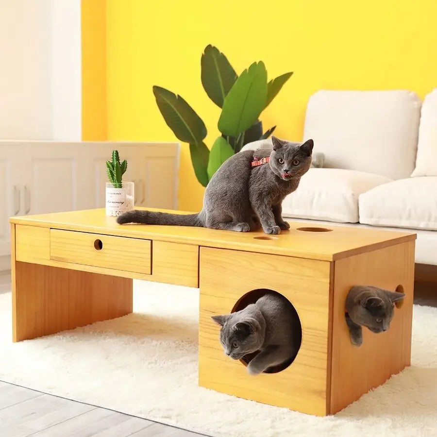 Pet Furnitures