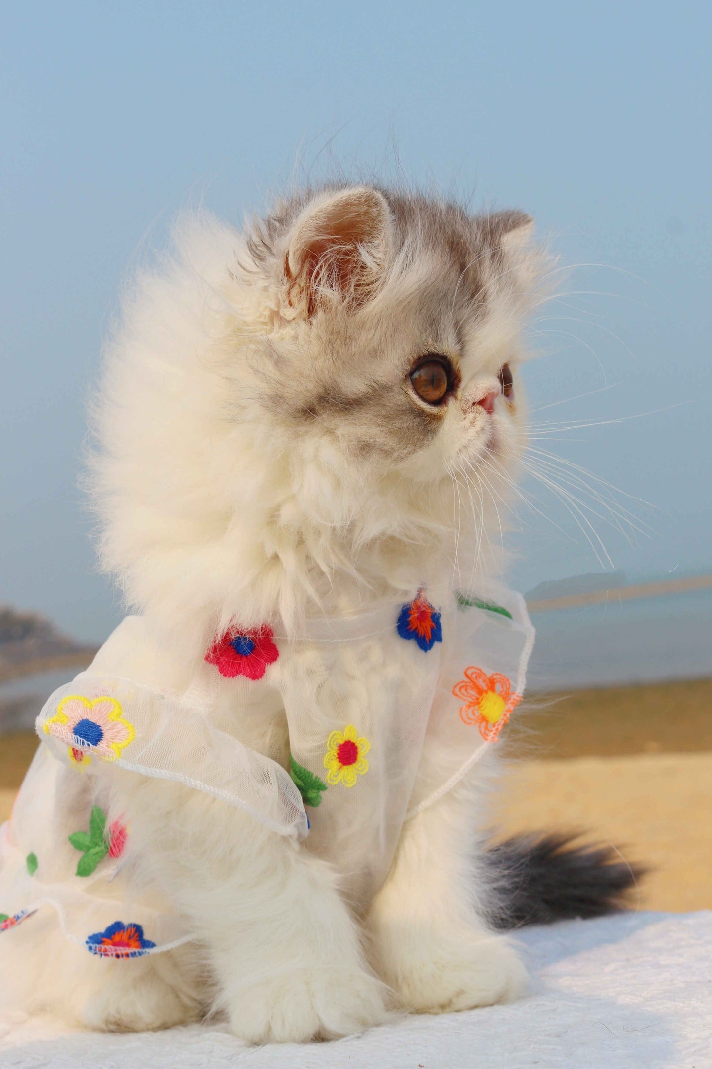Embroidered Pet Outfit