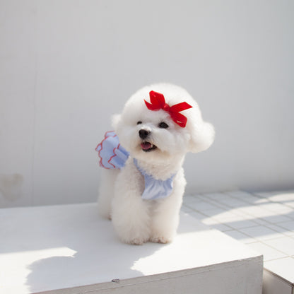 Summer Princess Dress