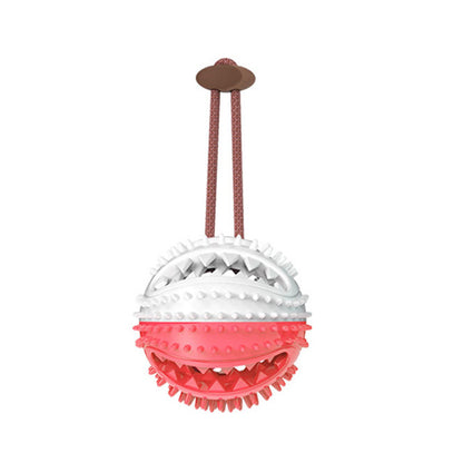 Suction Cup Tug Toy with Chew Ball