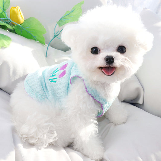 Teddy Style Dog Clothes