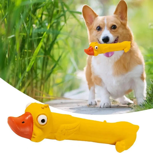 Durable Latex Chew Toy for Dogs