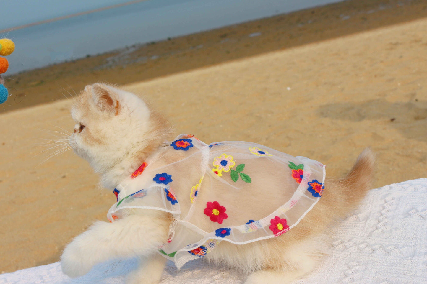 Embroidered Pet Outfit