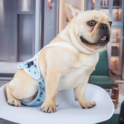 Bull Anti-harassment Estrous Underwear Washable Female Dog Menstrual Safety Pants