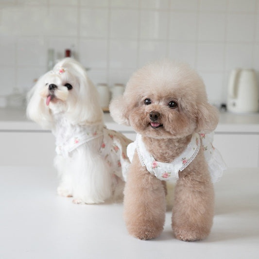 Floral Lace Dog Dress