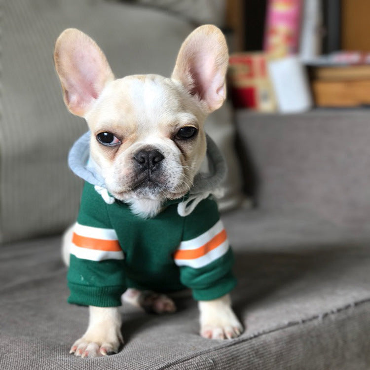 Small And Medium-sized Dog Corgi In Cotton Sweater