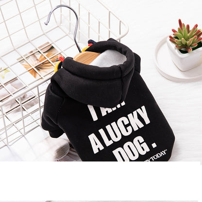 Warm Cat Puppy Clothes Trendy Sweater