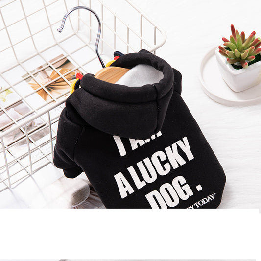 Warm Cat Puppy Clothes Trendy Sweater