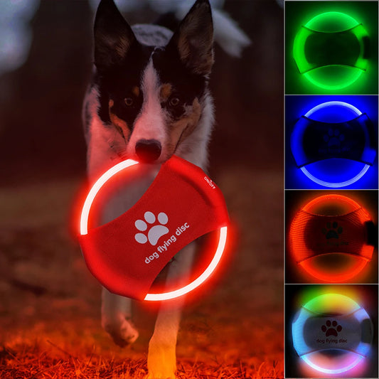 Luminous Training Disc for Pets