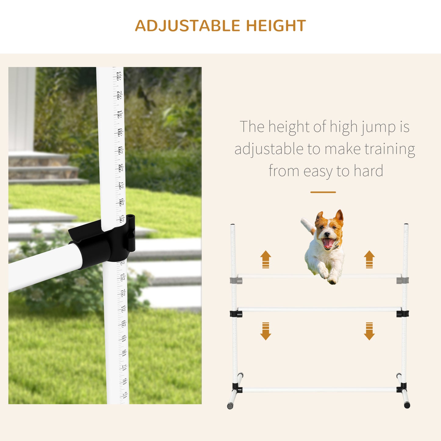4-Piece Dog Agility Training Set