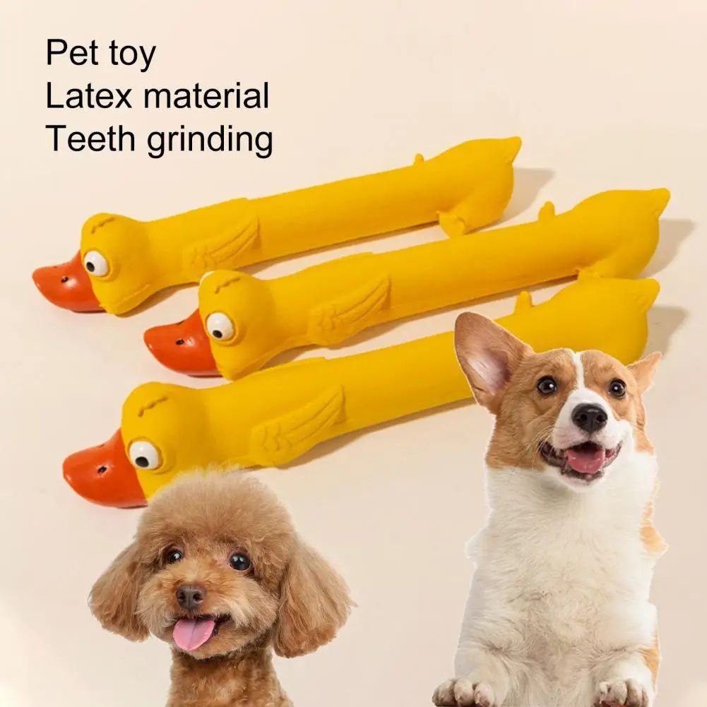 Durable Latex Chew Toy for Dogs