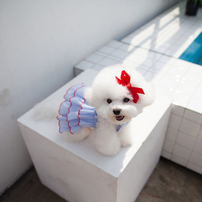 Summer Princess Dress