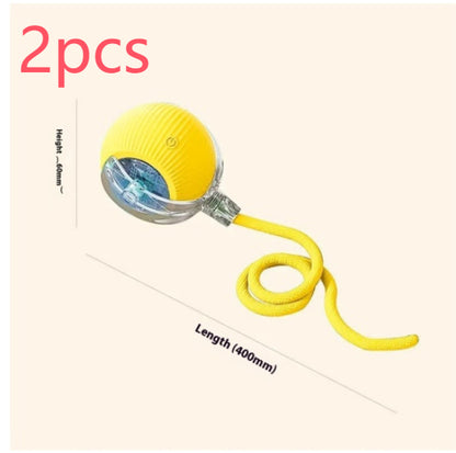 Automatic Rolling Cat Toy Ball