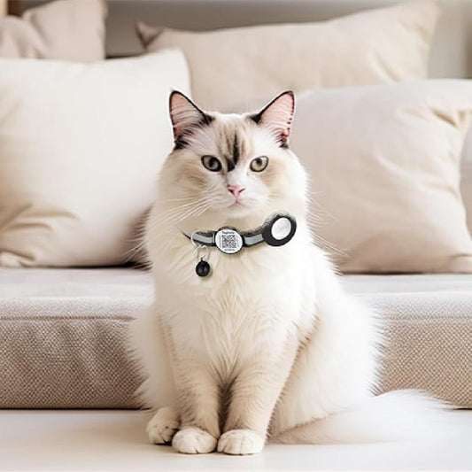 Anti-Lost Tracking Collar