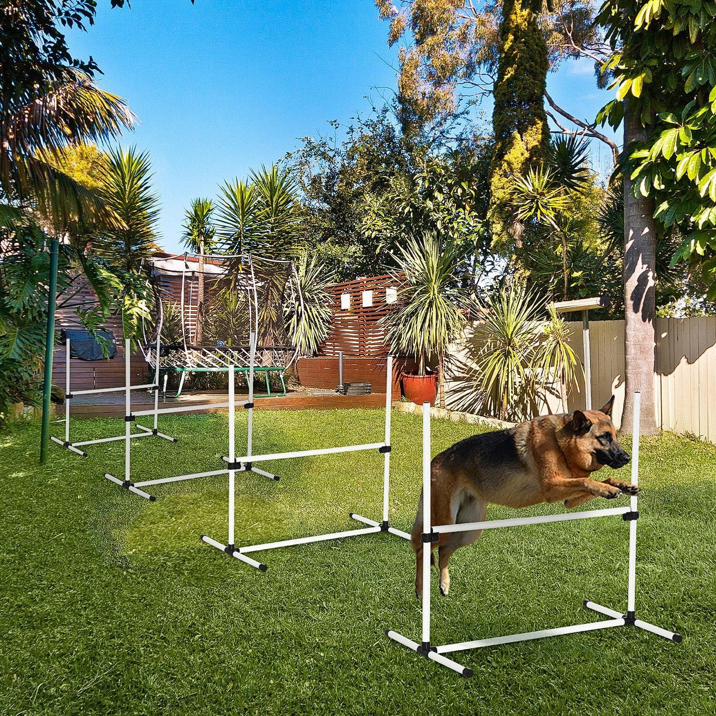 4-Piece Dog Agility Training Set