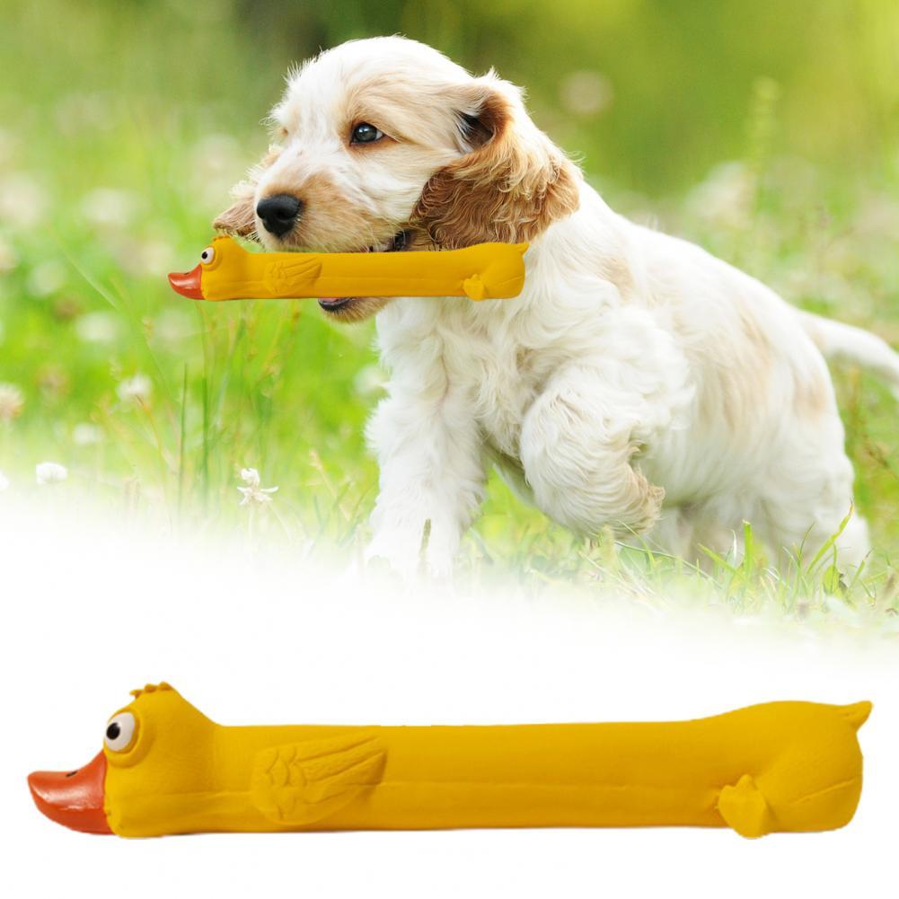 Durable Latex Chew Toy for Dogs