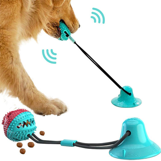 Suction Cup Tug Toy with Chew Ball