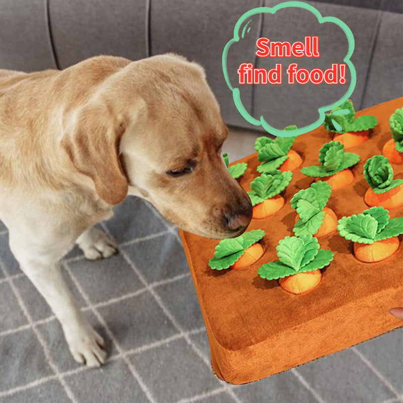 Carrot Plush Dog Chew Toy