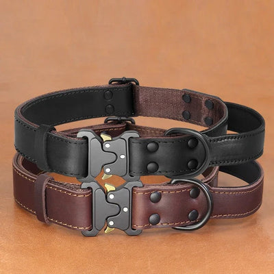 pet collars